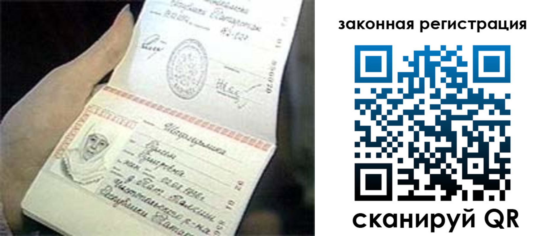 прописка для школы в Киришах